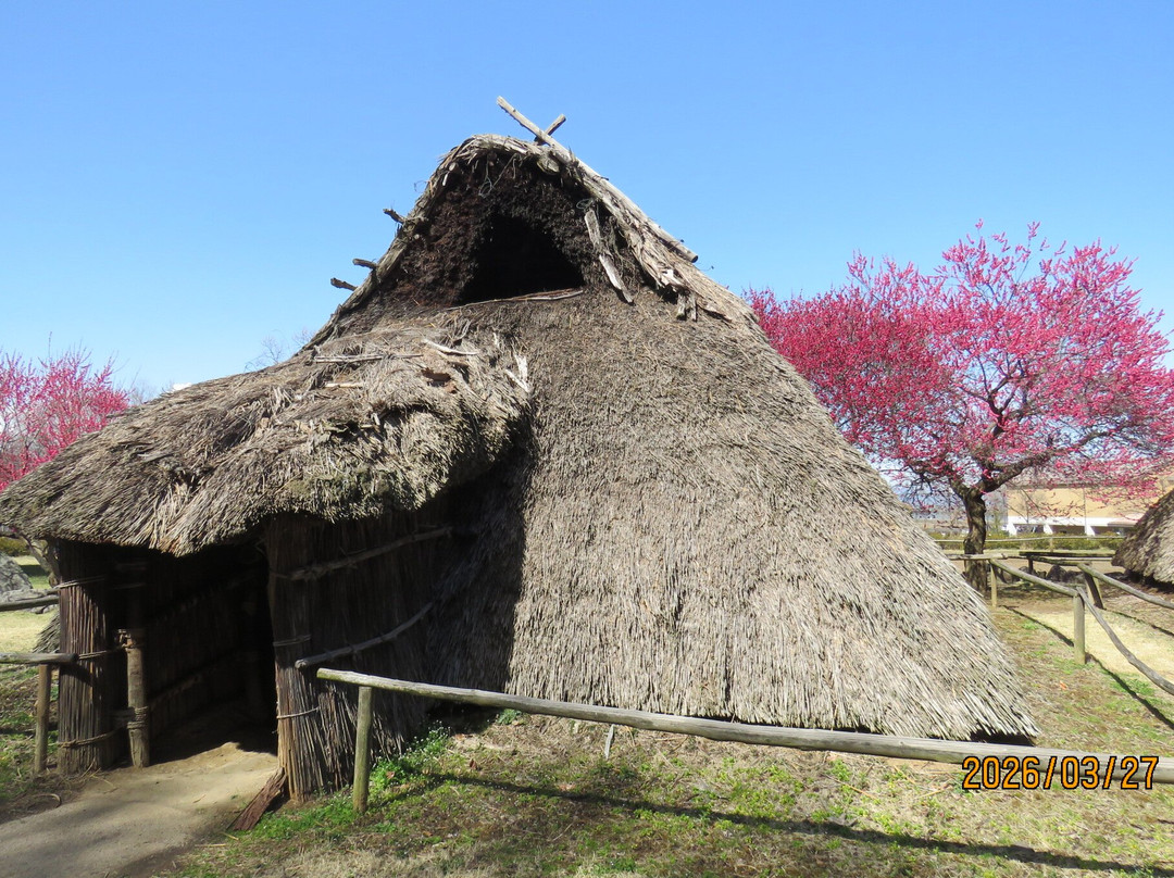 Mori Shogunzuka Museum Chikuma City-千曲市必去景点
