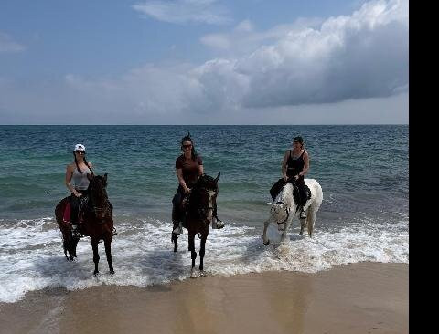 Zinebledi Horse Riding Club-苏塞必去景点