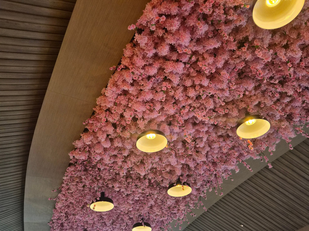 Hanami Pan Asian Restaurant