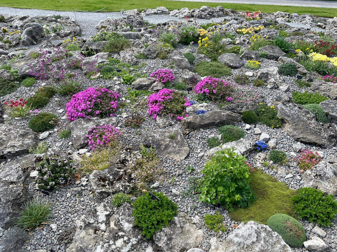 RHS Garden Harlow Carr-哈罗盖特必去景点