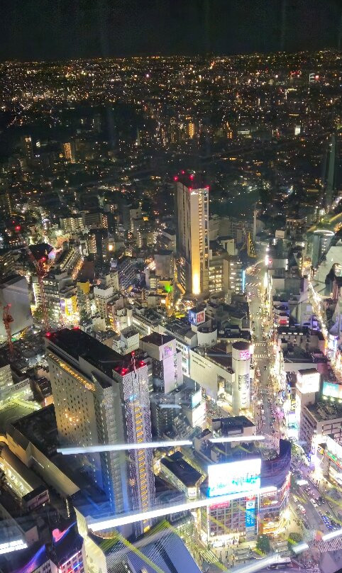 Shibuya Sky-涩谷区必去景点