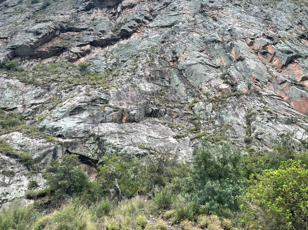 Alpaca Expeditions-库斯科必去景点