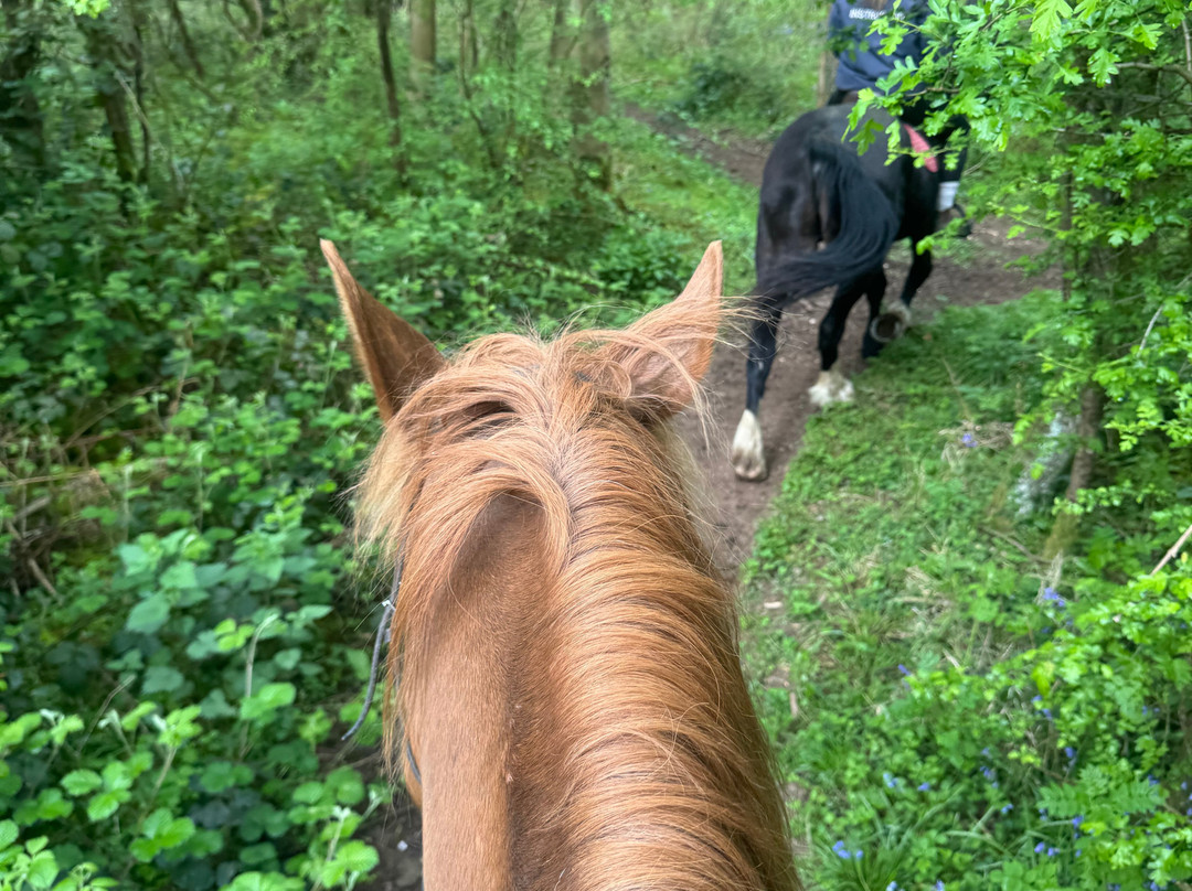 Penycoed Riding Stables-Pant必去景点