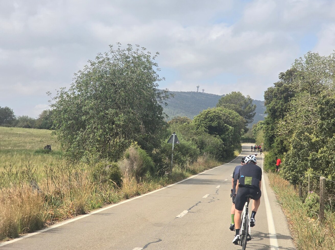 Mallorca Bike Hire-波连萨必去景点