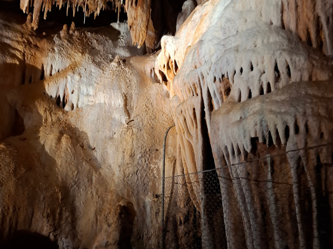 Grotte Du Bosc-Saint-Antonin Noble Val必去景点