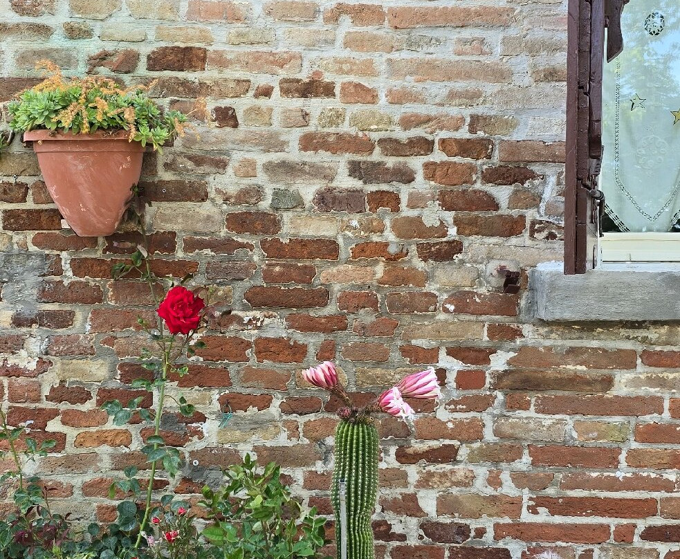 Castello Malatestiano-Longiano必去景点