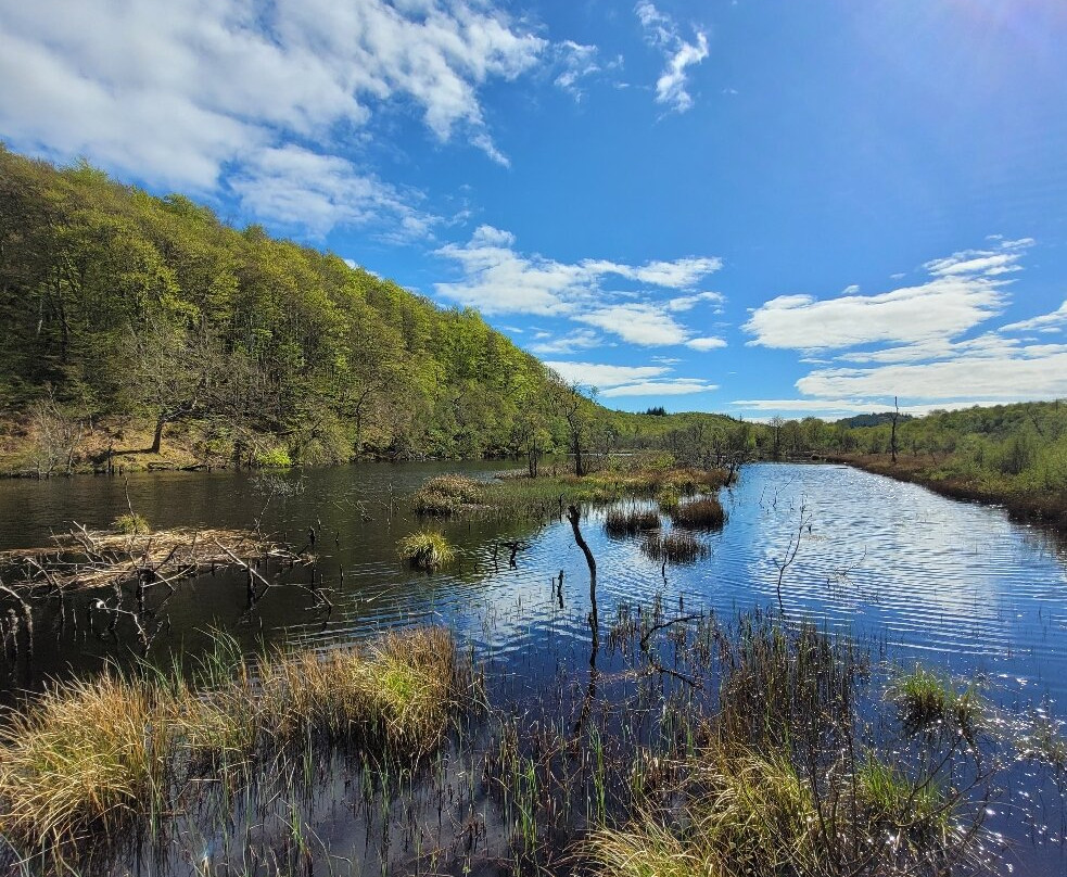 Argyll Beaver Centre-Lochgilphead必去景点