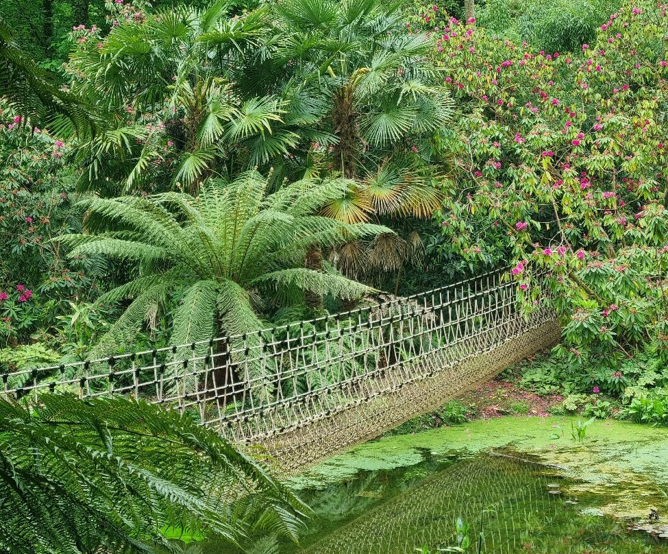 Abbotsbury Subtropical Gardens-Abbotsbury必去景点