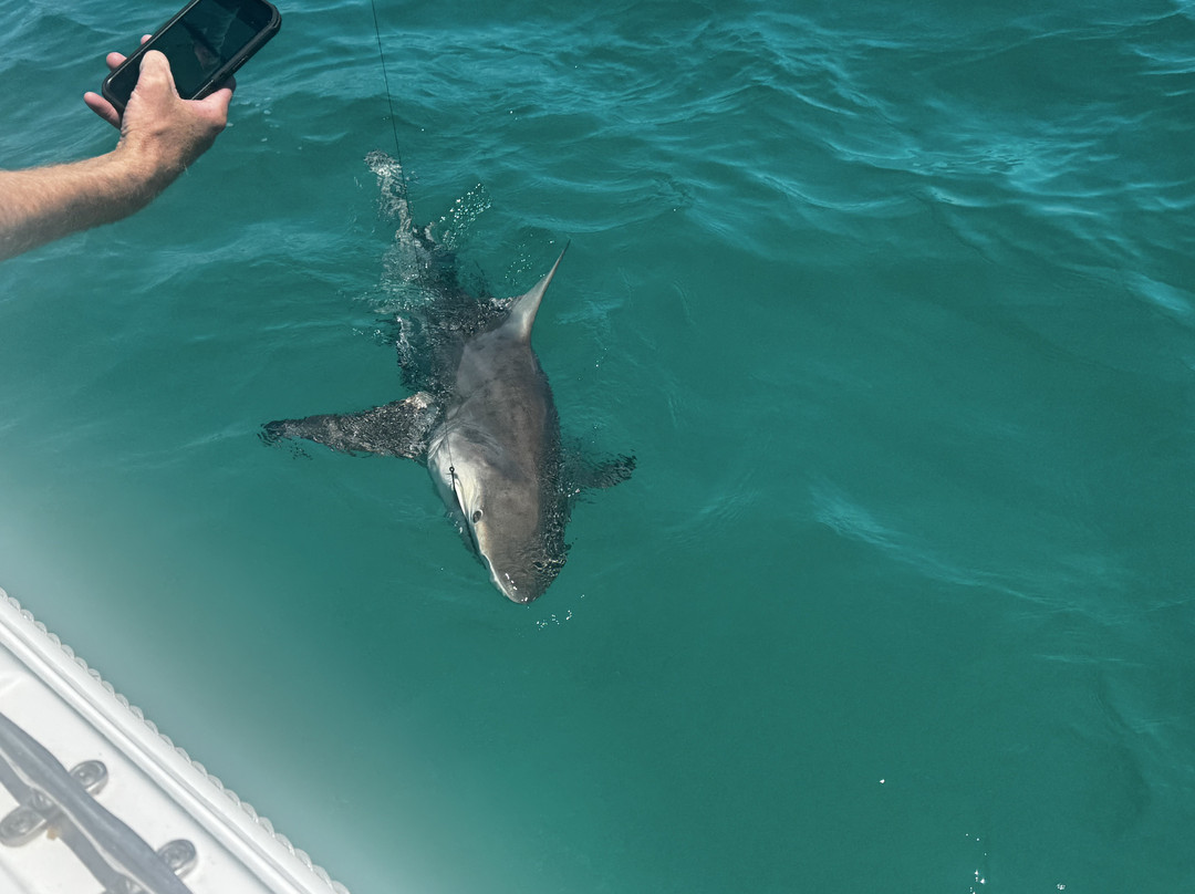 Silver King Charters of Destin-Sandestin必去景点