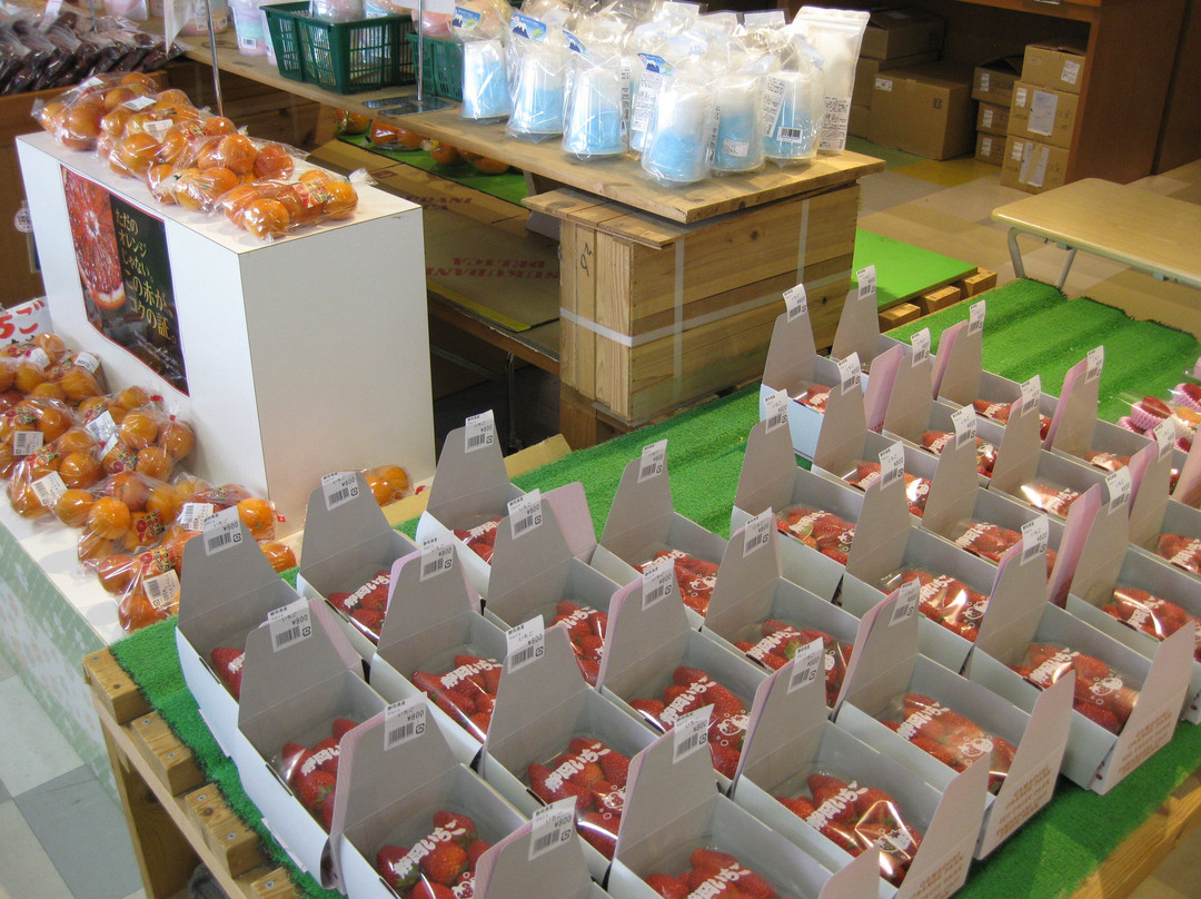 Izu Fruit Park-三岛市必去景点