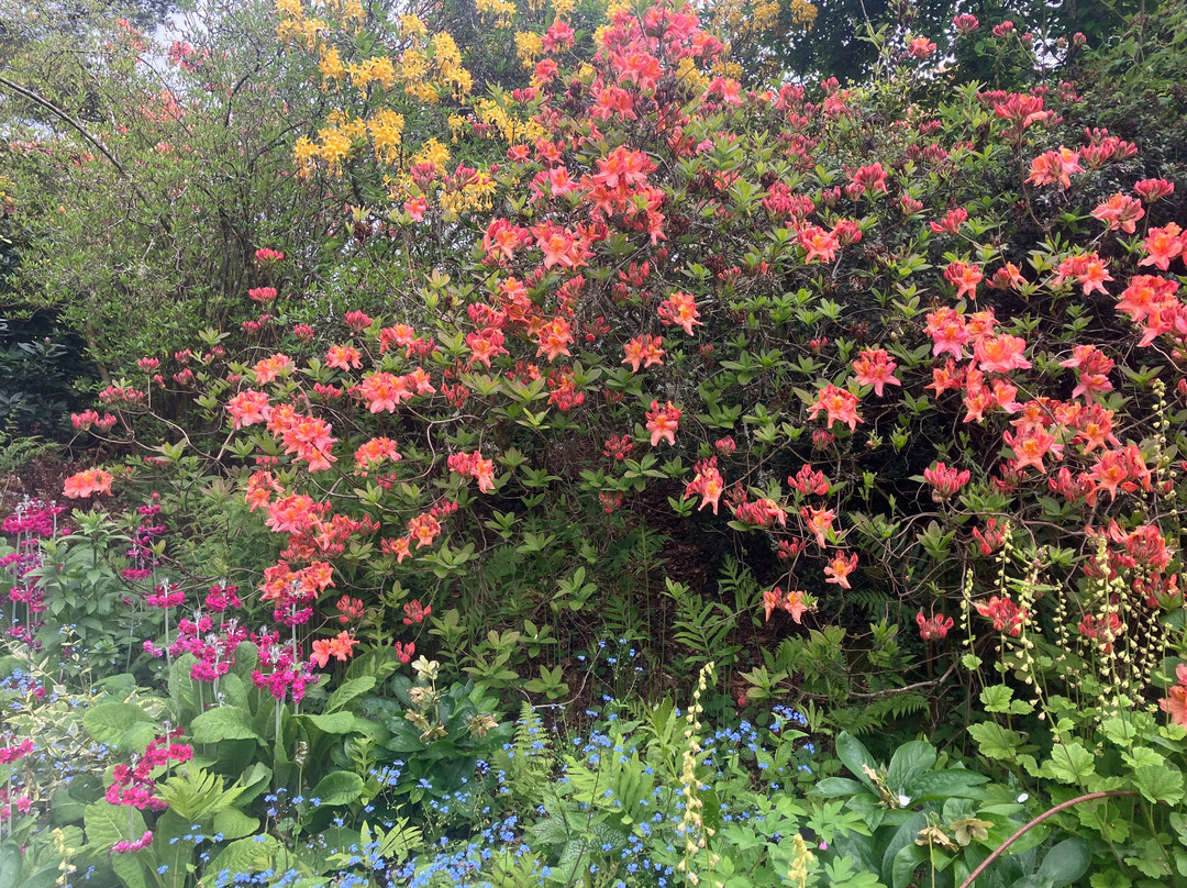 Scotney Castle Garden-Lamberhurst必去景点