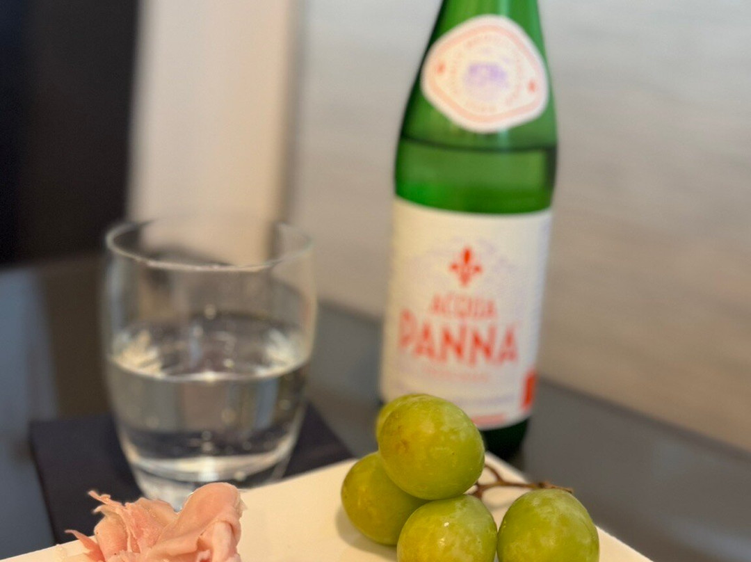 Premium Lounge - Milano Malpensa-费尔诺必去景点