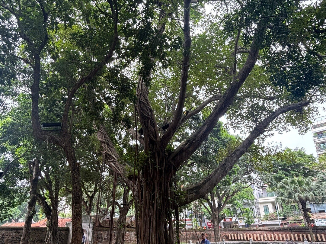 Hanoi Free Private Tour Guide-河内必去景点
