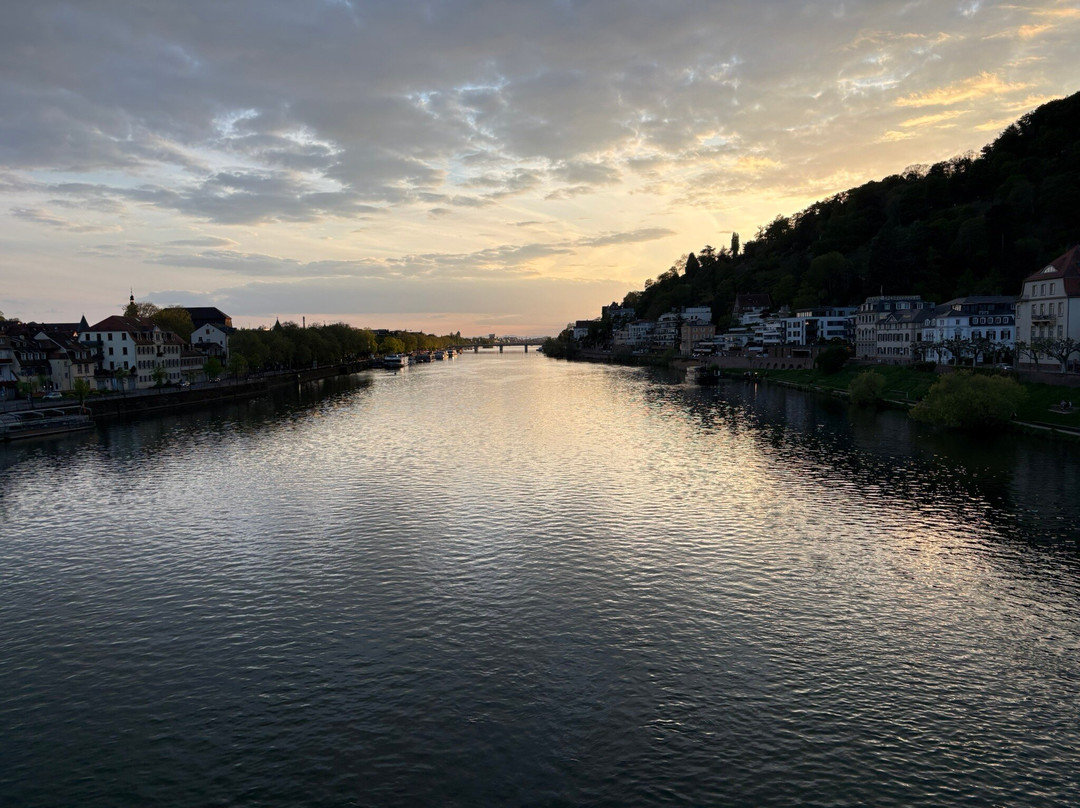 Neckar River-海德尔堡必去景点