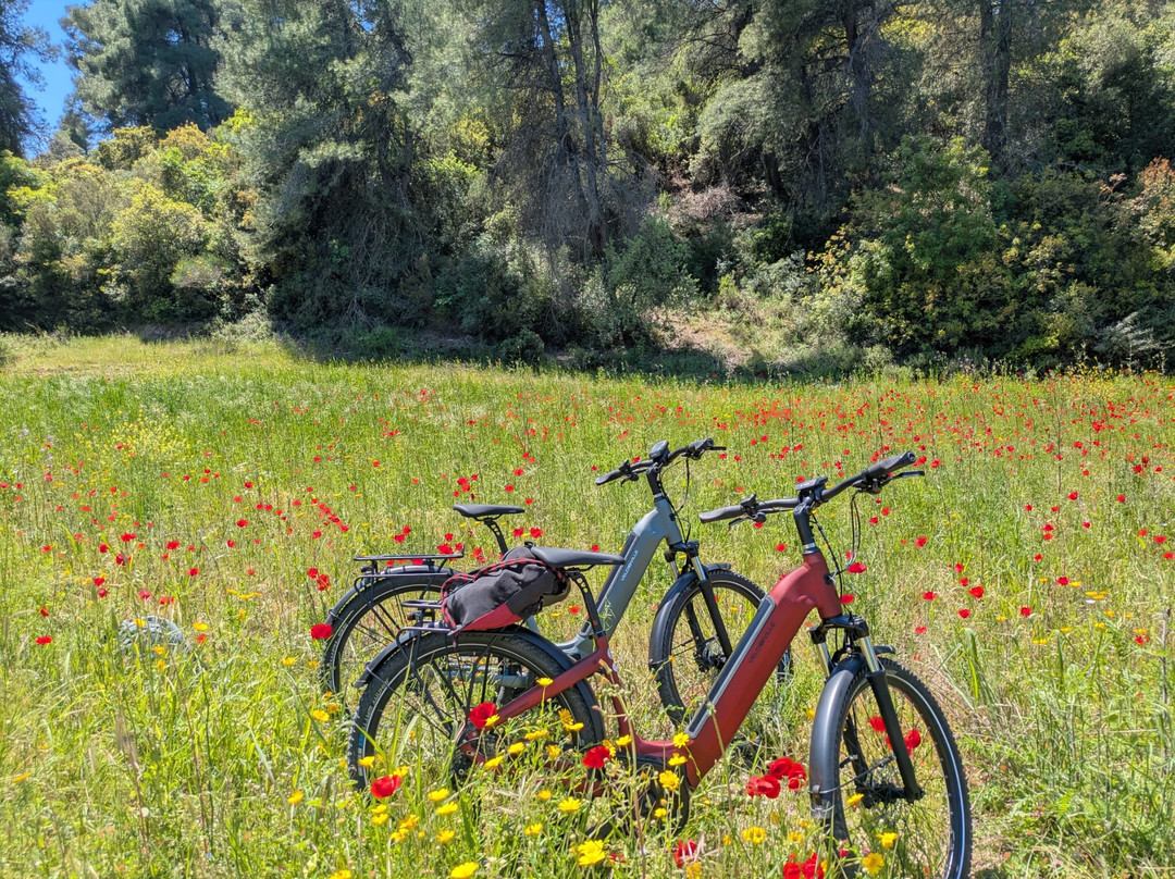 Halkidiki Ebike Suntours-Hanioti必去景点