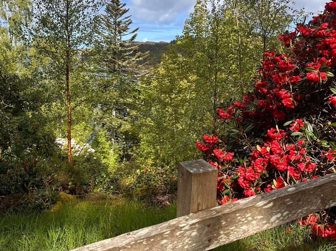 Inverewe Garden-Poolewe必去景点