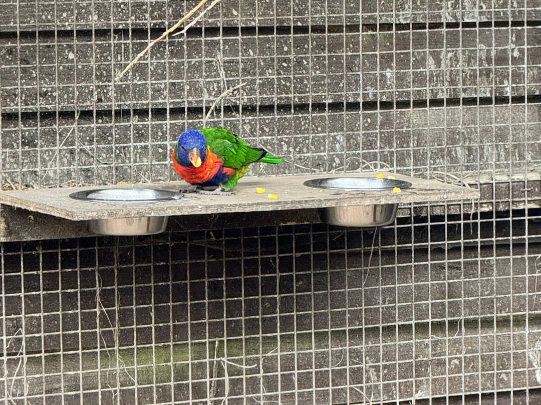 Filey Zoo-Filey必去景点