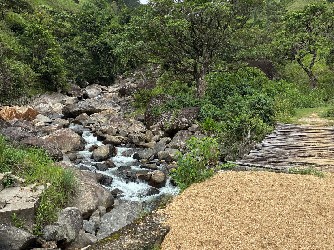 Sri Lanka Trekking-康提必去景点
