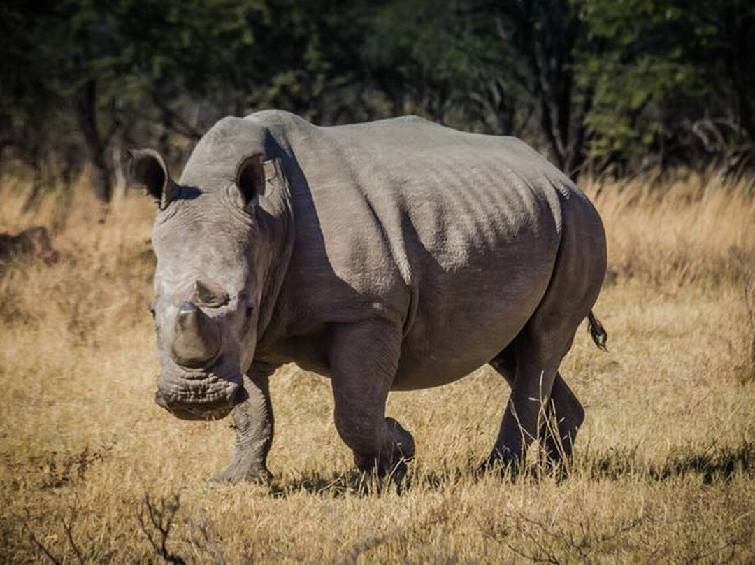 MISSK AFRICA SAFARIS