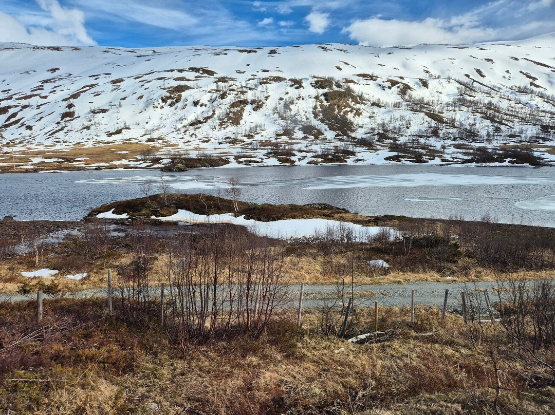 The Bergen Railway-奥斯陆必去景点