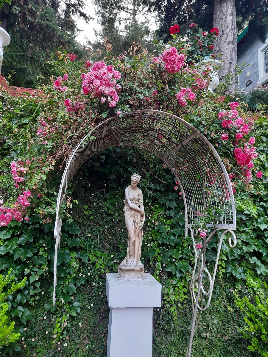 Seclude Ramgarh Taradale-旅行者