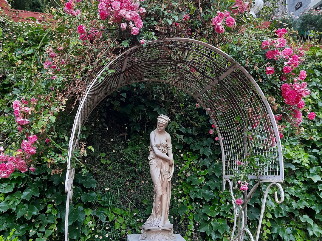 Seclude Ramgarh Taradale主图