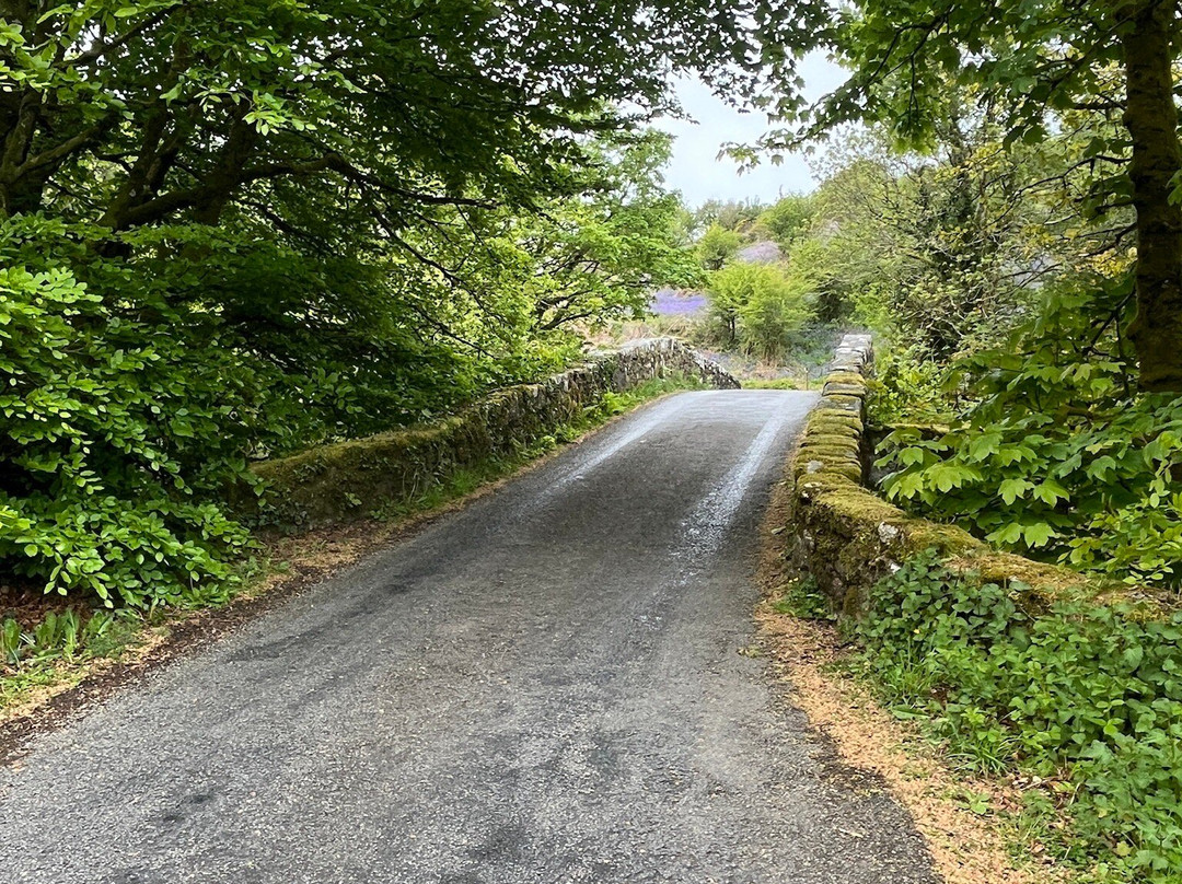Unique Devon Tours-牛顿阿伯里必去景点