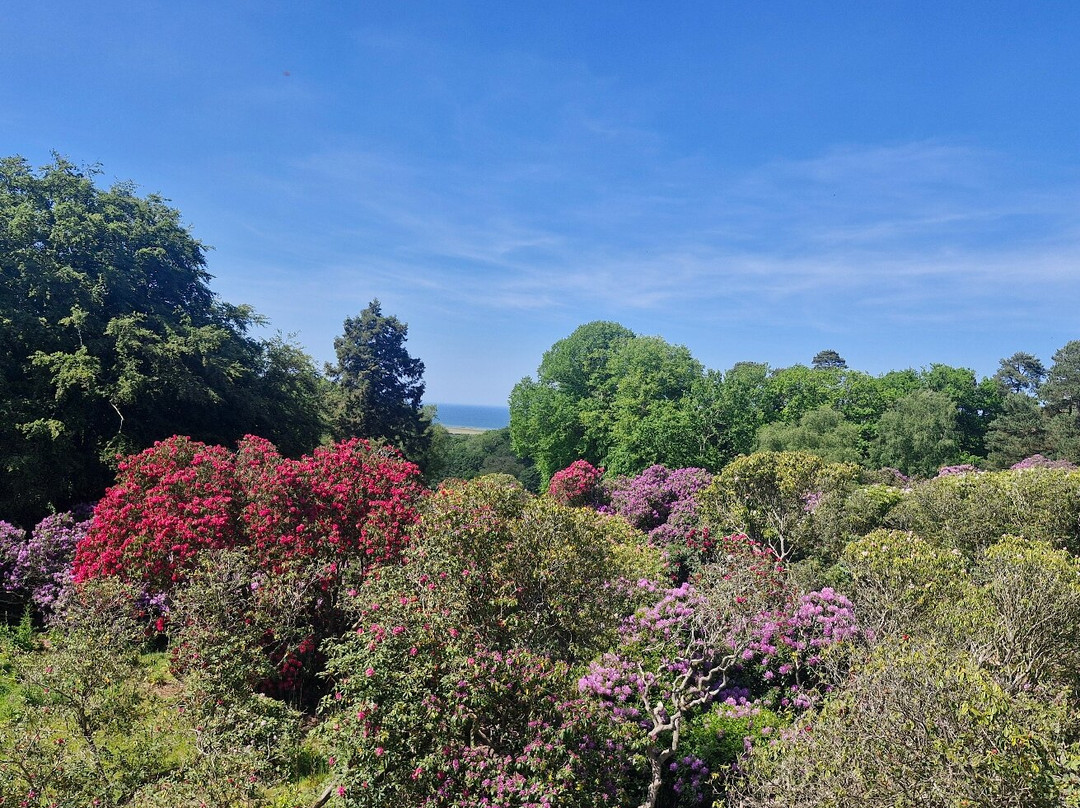 Sheringham Park-Sheringham必去景点