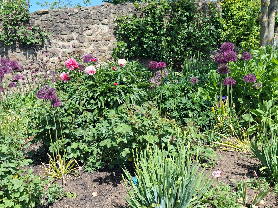Thornton Hall Gardens-达灵顿必去景点