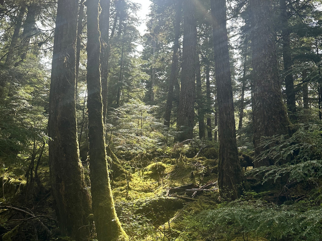 Tongass National Forest-凯奇坎必去景点