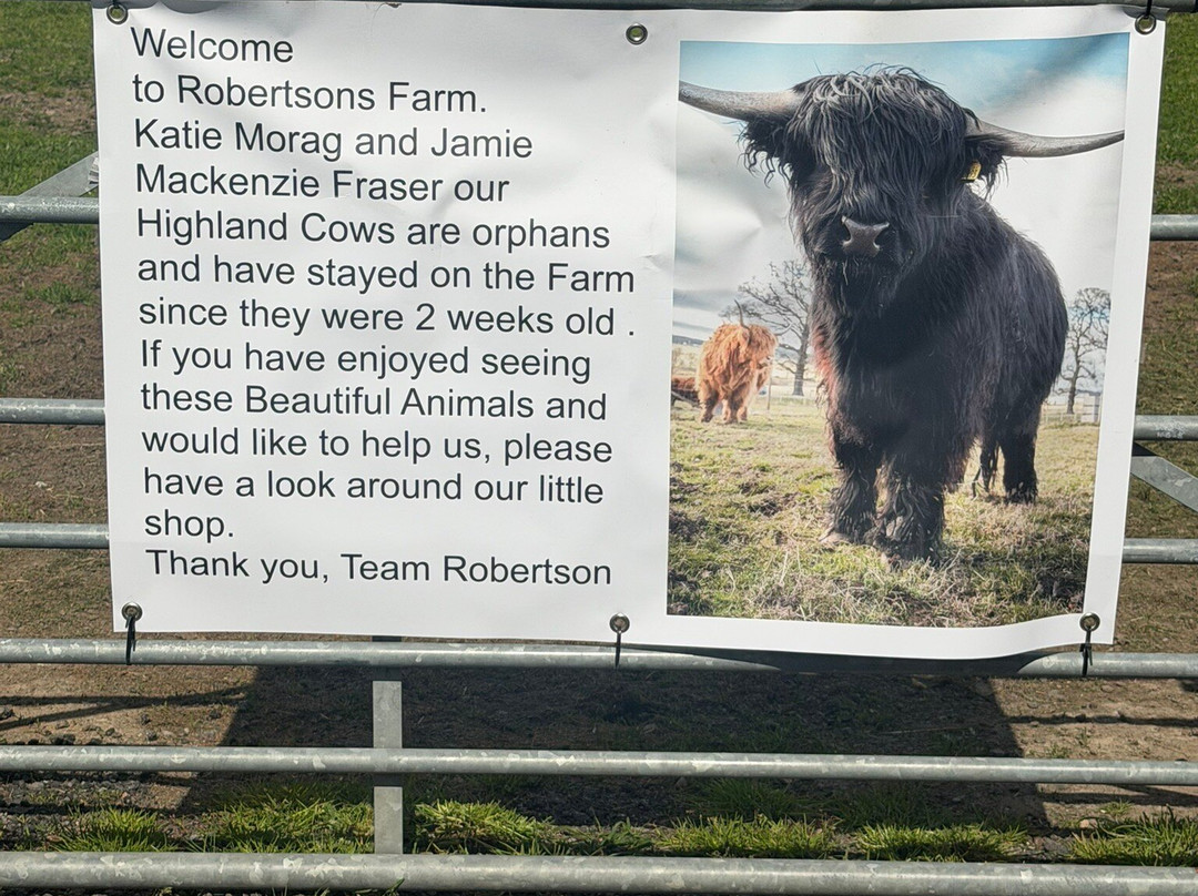 Robertson's - The Larder & Highland Cows - Beauly-Beauly必去景点