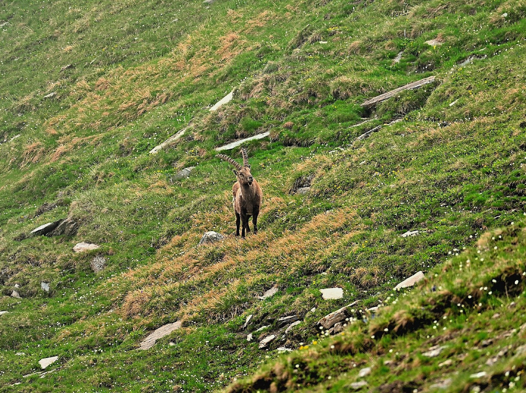 Colle dell'Agnello-Pontechianale必去景点