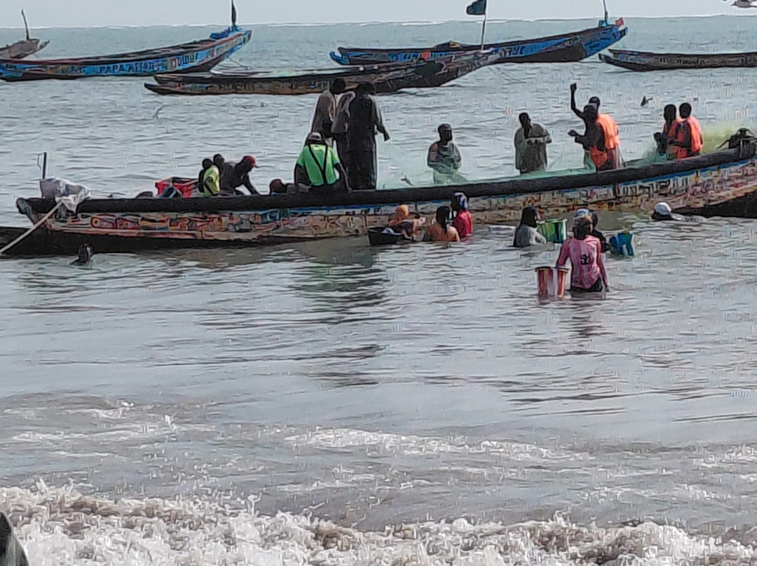 Gambia and Senegal tours with Ebrima-Tanji必去景点