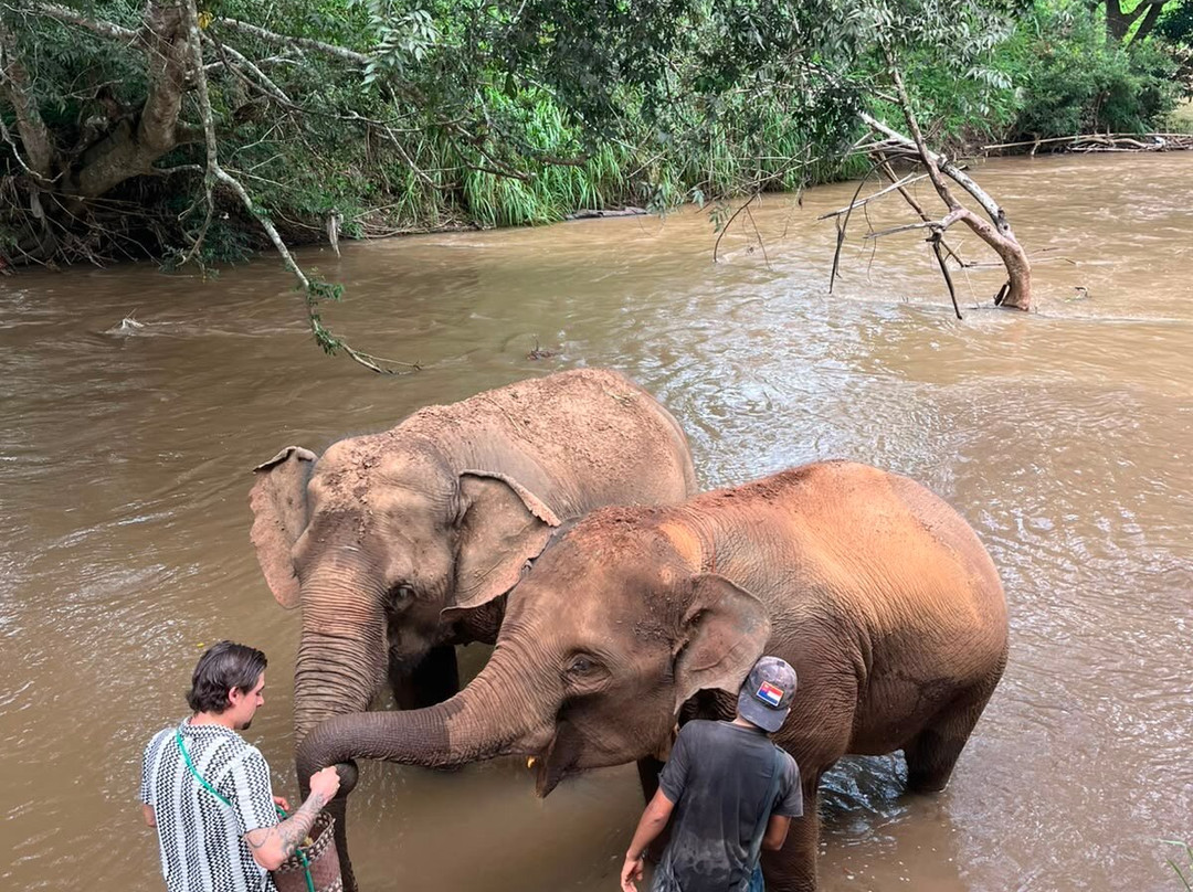 Elephant Sanctuary Care Park-清迈必去景点