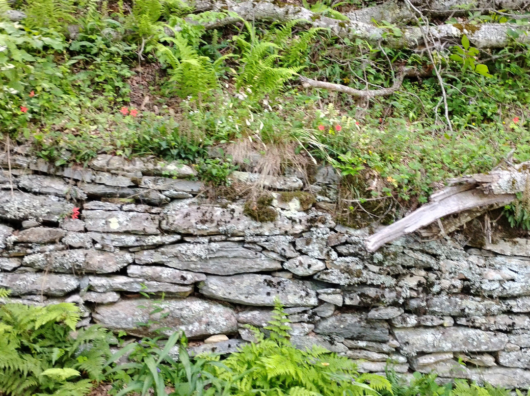 Moses H. Cone Memorial Park-布洛英罗克必去景点
