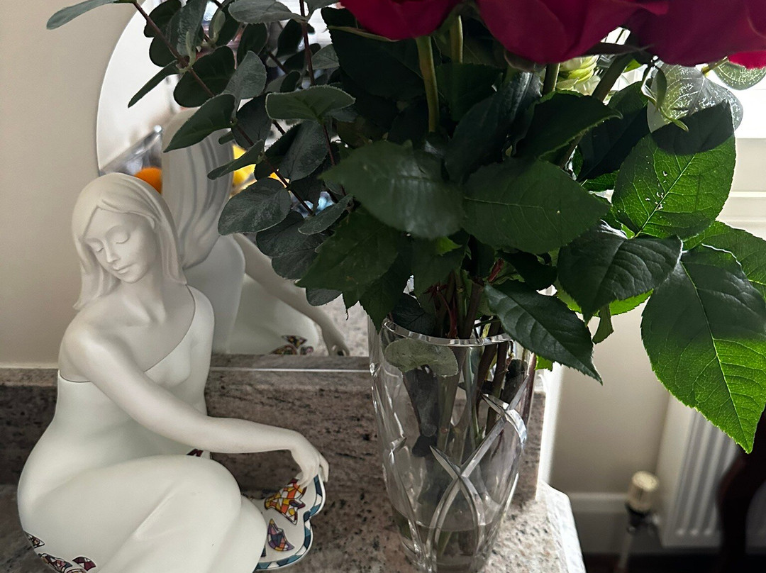 Sea Breeze Lodge B&B Galway主图