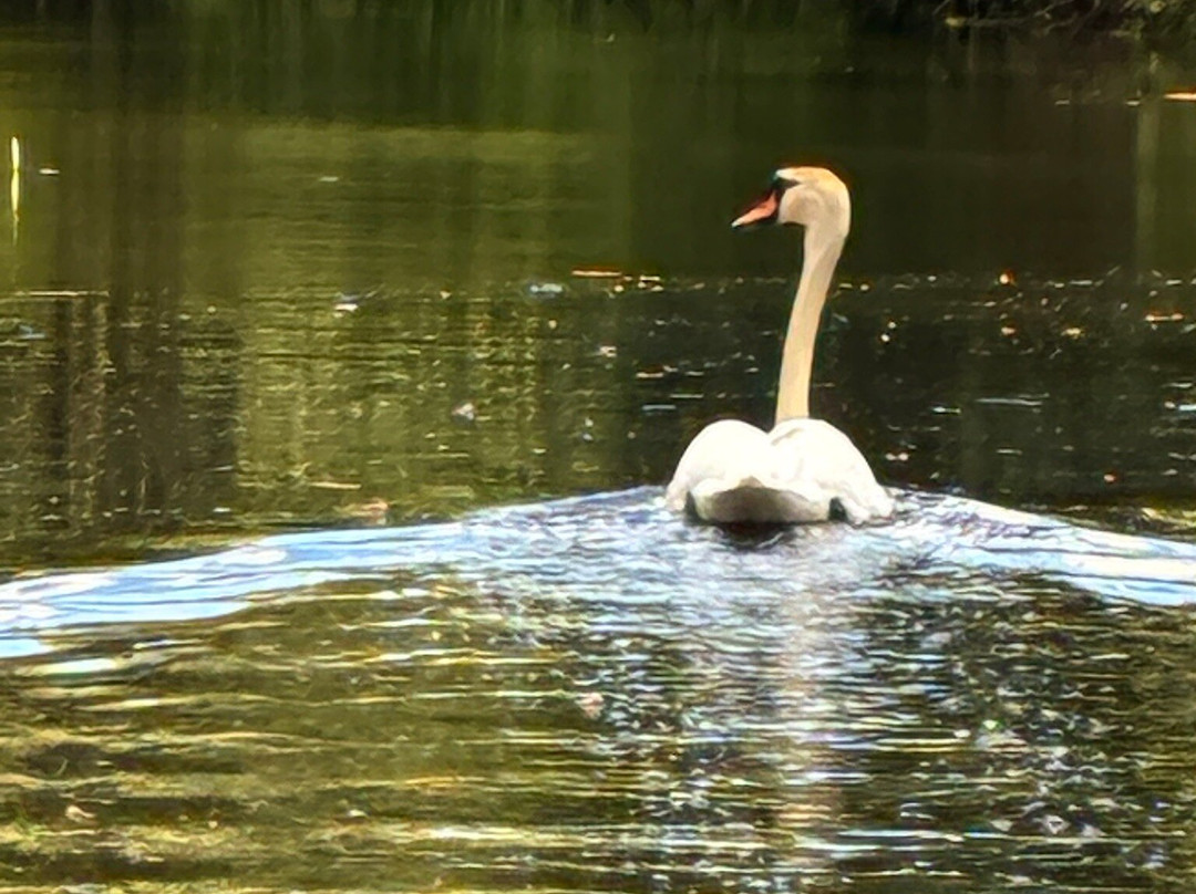 Grantham Canal Three Shires Boat Trips-Woolsthorpe by Belvoir必去景点
