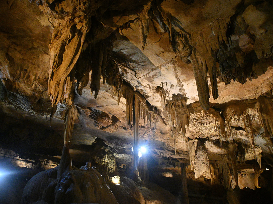 Grottes de Bétharram-Saint-Pe-de-Bigorre必去景点