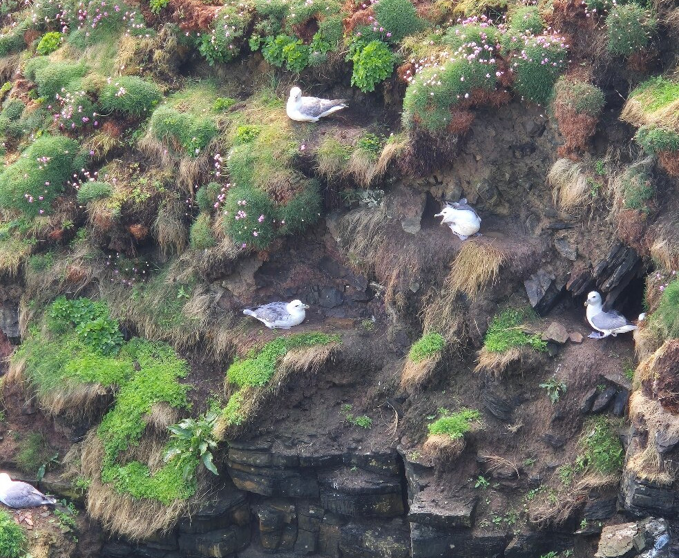 Duncansby Head-John O'Groats必去景点