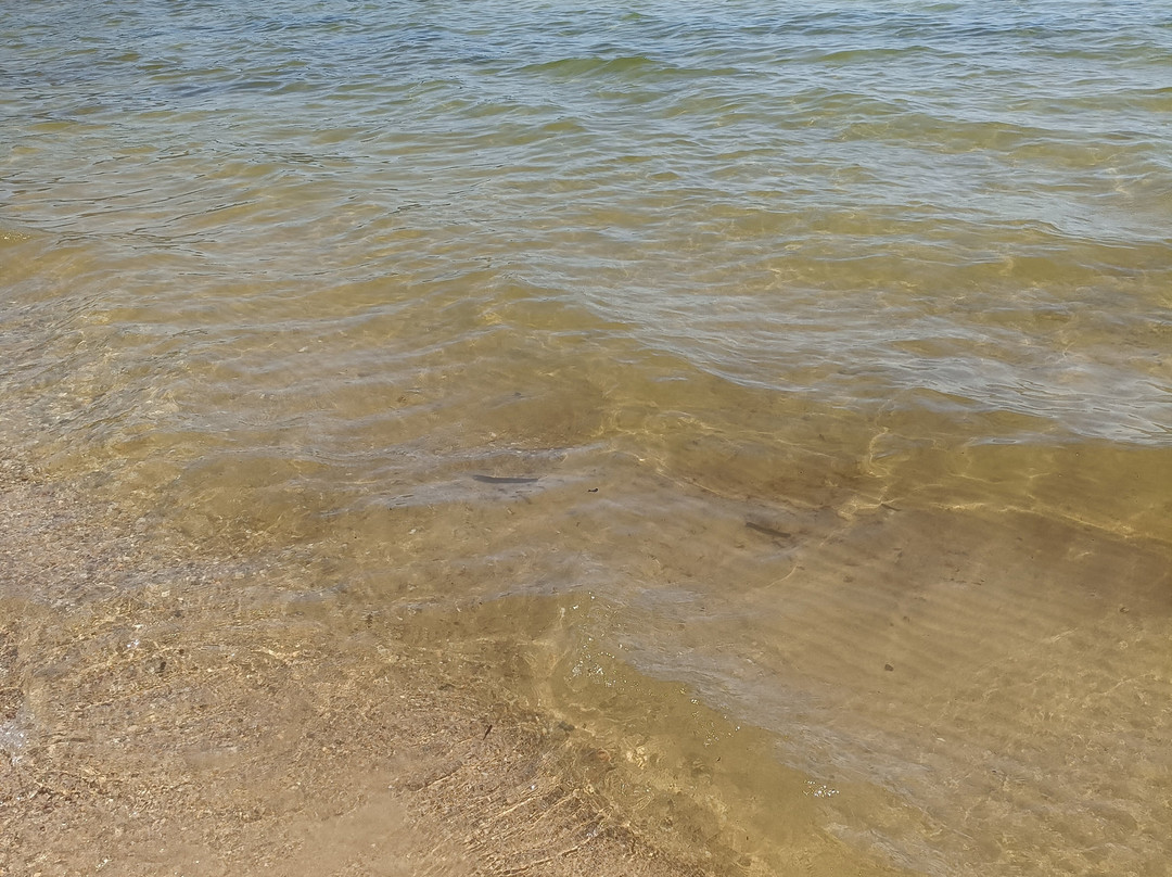 Paradise Beach-Koinira必去景点