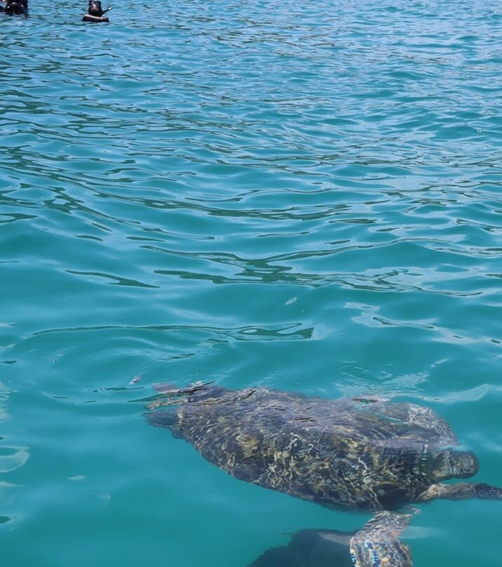 Redang Island Snorkeling Day Trip with Lunch-热浪岛必去景点