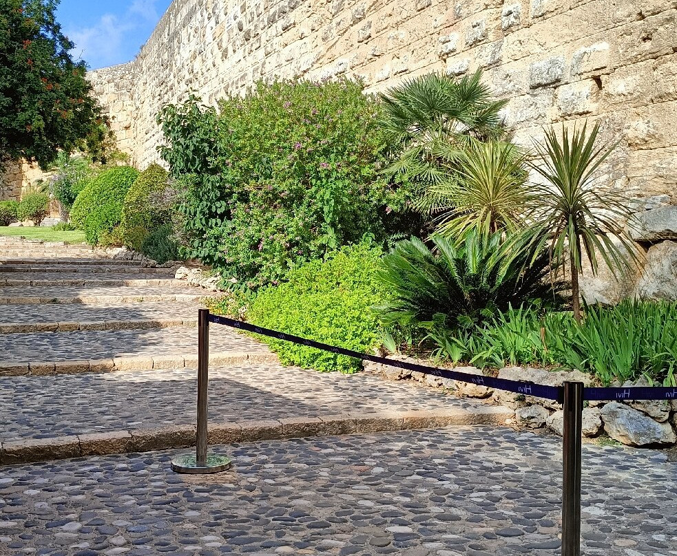 Passeig Arqueològic-塔拉戈纳必去景点