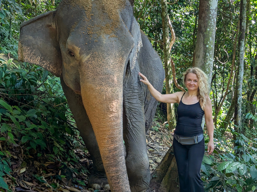 Bukit Lawang - Jungle Trekking Sumatra-武吉拉旺必去景点