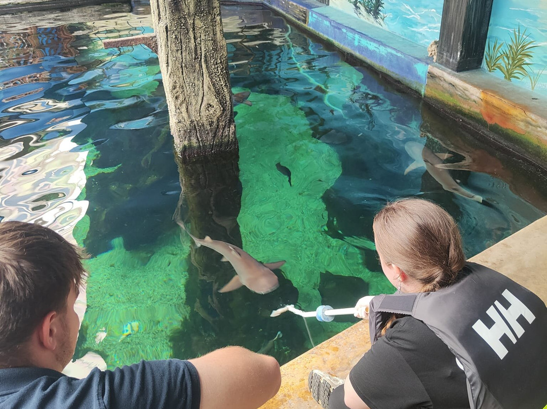 Oceanarium-伯恩茅斯必去景点