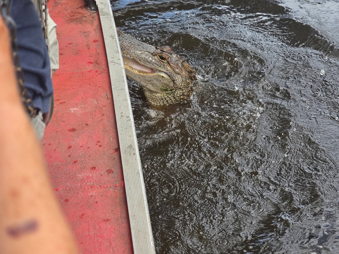 Ragin Cajun Airboat Tours-新奥尔良必去景点