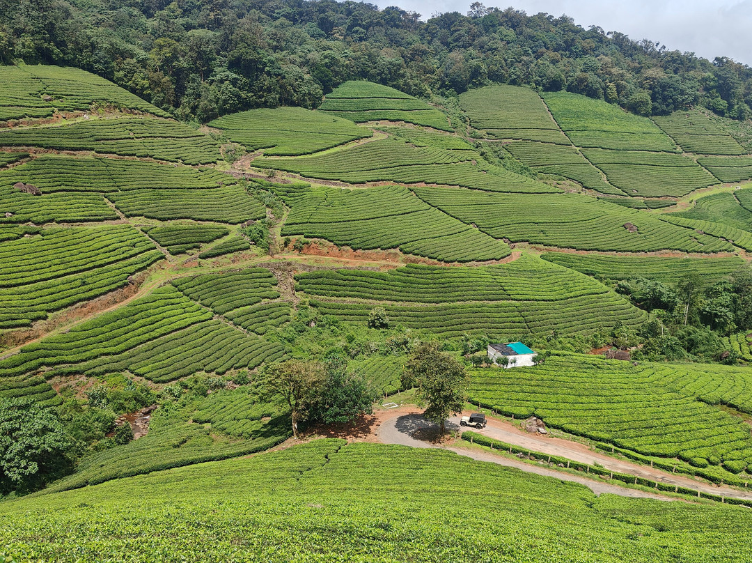 Munnar Taxi Sevice-慕那尔必去景点