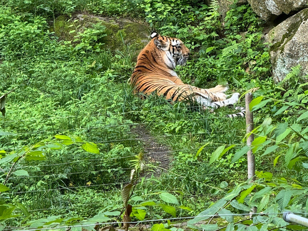 Southwick's Zoo-Mendon必去景点