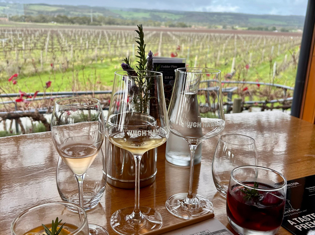 Hugh Hamilton Wines-麦克拉伦谷必去景点