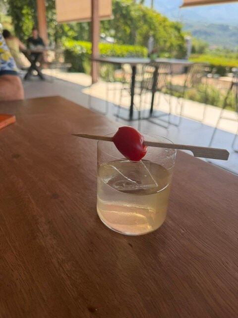 梅丽茨纳乡村酒店主图