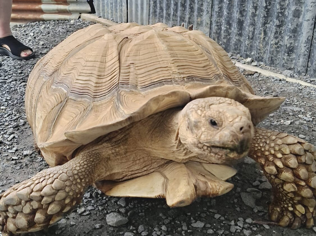 Secret Valley Wildlife Park-韦克斯福德必去景点